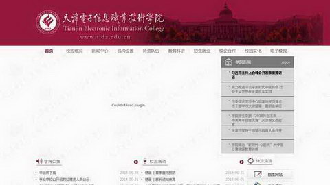 天津电子信息职业技术学院网站